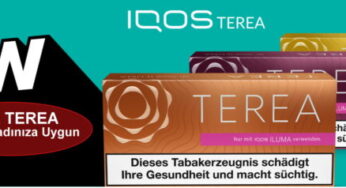 IQOS için TEREA kapsül serisi